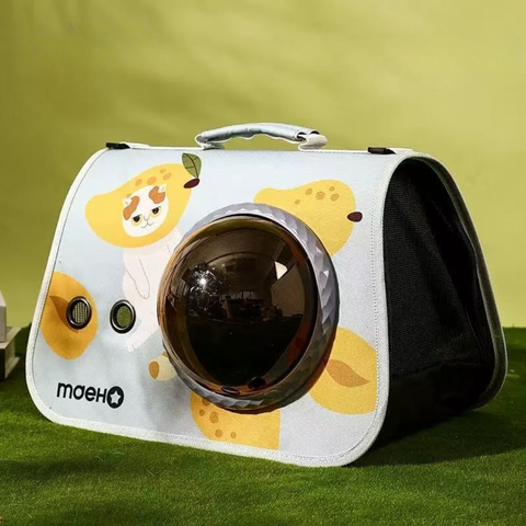 Front image of MADDEN Mango Cat Port-hole Pet Carrier - Pets Villa. 