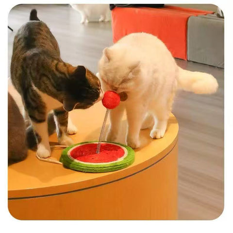 Product image of MARTINA Fruit Sisal Cat Scratching Plate and Ball - Pets Villa. 