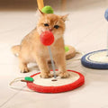 Image of kitten playing with MARTINA Fruit Sisal Cat Scratching Plate and Ball - Pets Villa. 