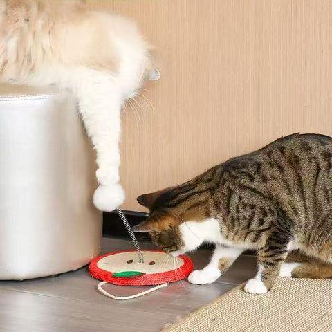 Product image of MARTINA Fruit Sisal Cat Scratching Plate and Ball - Pets Villa. 