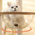 Acrylic bowl close up of MARTINA Windmill Solid Wood Cat Tree - Pets Villa. 