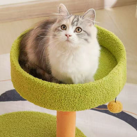 Bed close up of MIAOFAIRY Carrot Paradise Climbing Frame - Pets Villa. 