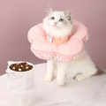 Image of a cat wearing the pink variant of MIAOHO Flower Collar Pet Cone  - Pets Villa.
