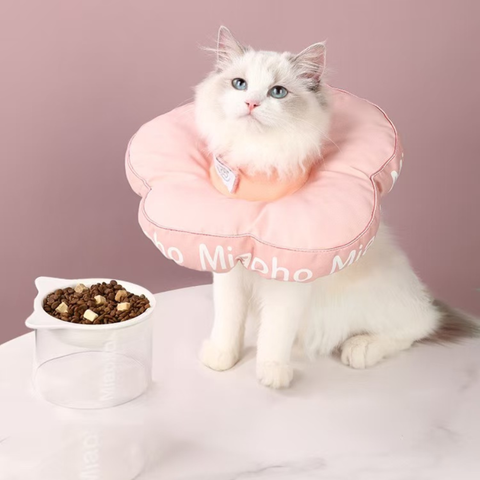 Image of a cat wearing the pink variant of MIAOHO Flower Collar Pet Cone  - Pets Villa.