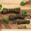 Front image of NOBBLYS Mint Dental Dog Chew Tough Brush 1pc - Pets Villa. 