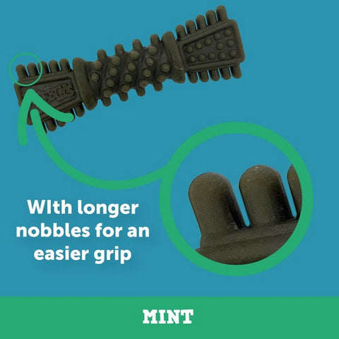 Design image of NOBBLYS Mint Dental Dog Chew Tough Brush 1pc - Pets Villa. 