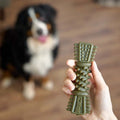 Image of NOBBLYS Mint Dental Dog Chew Tough Brush 1pc - Pets Villa. 