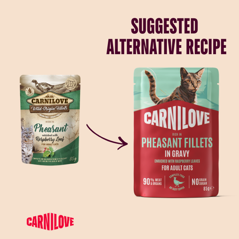 CARNILOVE Cat Pheasant Fillets Enriched with Raspberry Leaves in Gravy