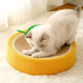 Front image of Orange Sisal Cat Scratcher - Pets Villa. 
