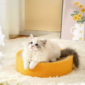 Image of a cat on Orange Sisal Cat Scratcher - Pets Villa. 