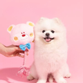 Product image of PETSVILLE Birthday Party Dog Toys - Pets Villa. 
