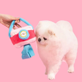 Product image of PETSVILLE Birthday Party Dog Toys - Pets Villa. 
