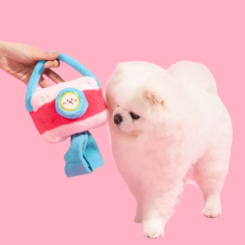 Product image of PETSVILLE Birthday Party Dog Toys - Pets Villa. 