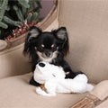 Image of a dog with PET BRANDS Christmas No Stuffing Polar Bear Dog Toy - Pets Villa. 