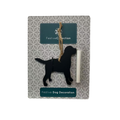 Front image of PET BRANDS Festive Dog Decoration with Chalk - Pets Villa. 