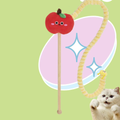 Front image of PURLAB Apple and Worm Cat Teaser - Pets Villa. 