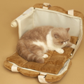 Image of cat on unfolded PURLAB Bread Pet Travel Bag - Pets Villa. 
