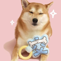 Close up image of PURLAB ChewChew Chomp Teething Dog Toy - Pets Villa. 