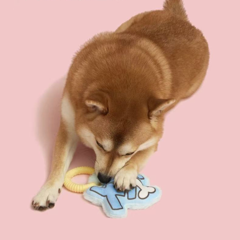 Product image of PURLAB ChewChew Chomp Teething Dog Toy - Pets Villa. 