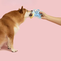 Product image of PURLAB ChewChew Chomp Teething Dog Toy - Pets Villa. 