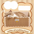 Front image of PURLAB Cookies Cat Scratching Box - Pets Villa. 