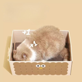 Cat scratching the board of PURLAB Cookies Cat Scratching Box - Pets Villa. 