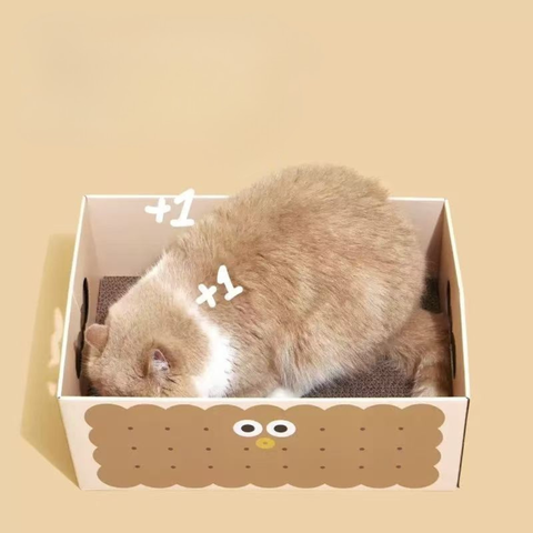 Cat scratching the board of PURLAB Cookies Cat Scratching Box - Pets Villa. 