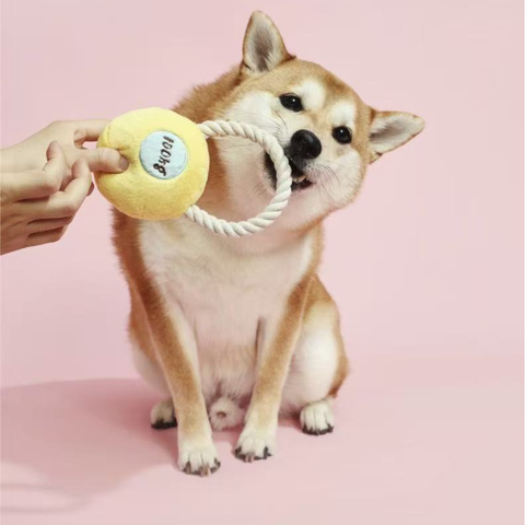 Image of a Dog playing with PURLAB Kettlebell Dog Toy - Pets Villa. 