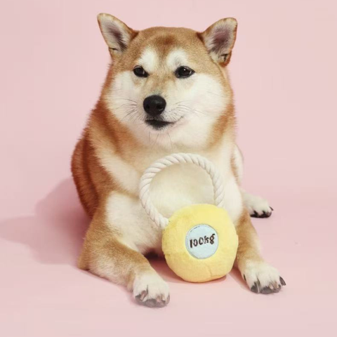 Product image of PURLAB Kettlebell Dog Toy - Pets Villa. 