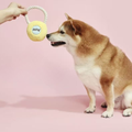 Product image of PURLAB Kettlebell Dog Toy - Pets Villa. 