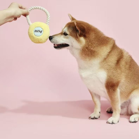 Product image of PURLAB Kettlebell Dog Toy - Pets Villa. 