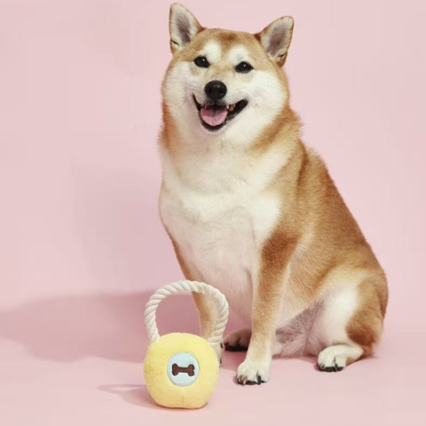 Product image of PURLAB Kettlebell Dog Toy - Pets Villa. 