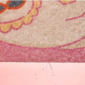 Close up image of PURLAB Summer Cat Litter Mat - Pets Villa. 