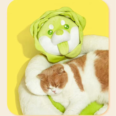 Close up image of PURLAB Vegetable Dog Pet Bed  - Pets Villa. 