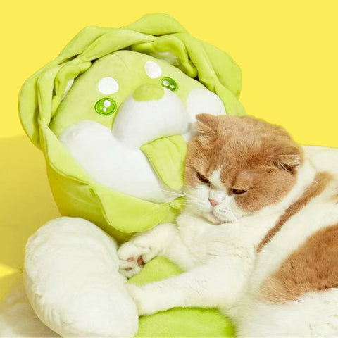 Close up image of the head of PURLAB Vegetable Dog Pet Bed  - Pets Villa. 