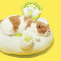 Image of cat sleeping on PURLAB Vegetable Dog Pet Bed  - Pets Villa. 