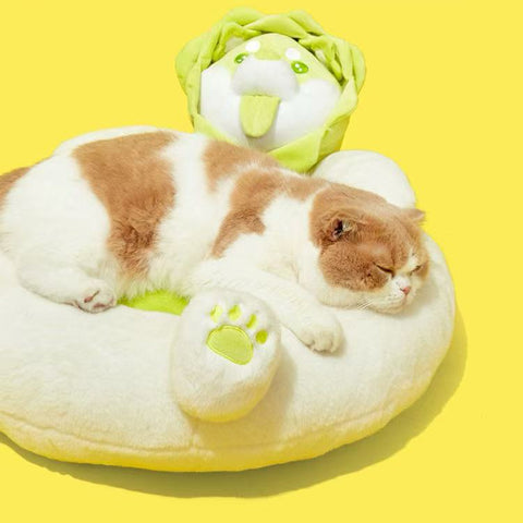 Image of cat sleeping on PURLAB Vegetable Dog Pet Bed  - Pets Villa. 