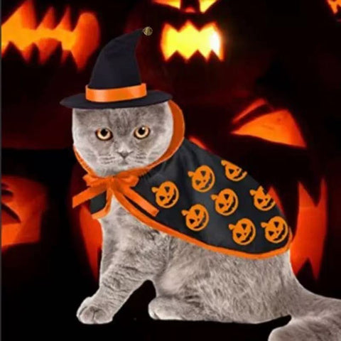 Front image of Pumpkin Halloween Pet Cape and Hat - Pets Villa.