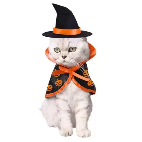 Product image of Pumpkin Halloween Pet Cape and Hat - Pets Villa.