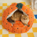 Image of a cat in Pumpkin Shaped Cat Nest  - Pets Villa.