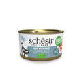 Front image of SCHESIR Complements Fillet Tuna with Hake in Jelly for Adult Cats - Pets Villa. 