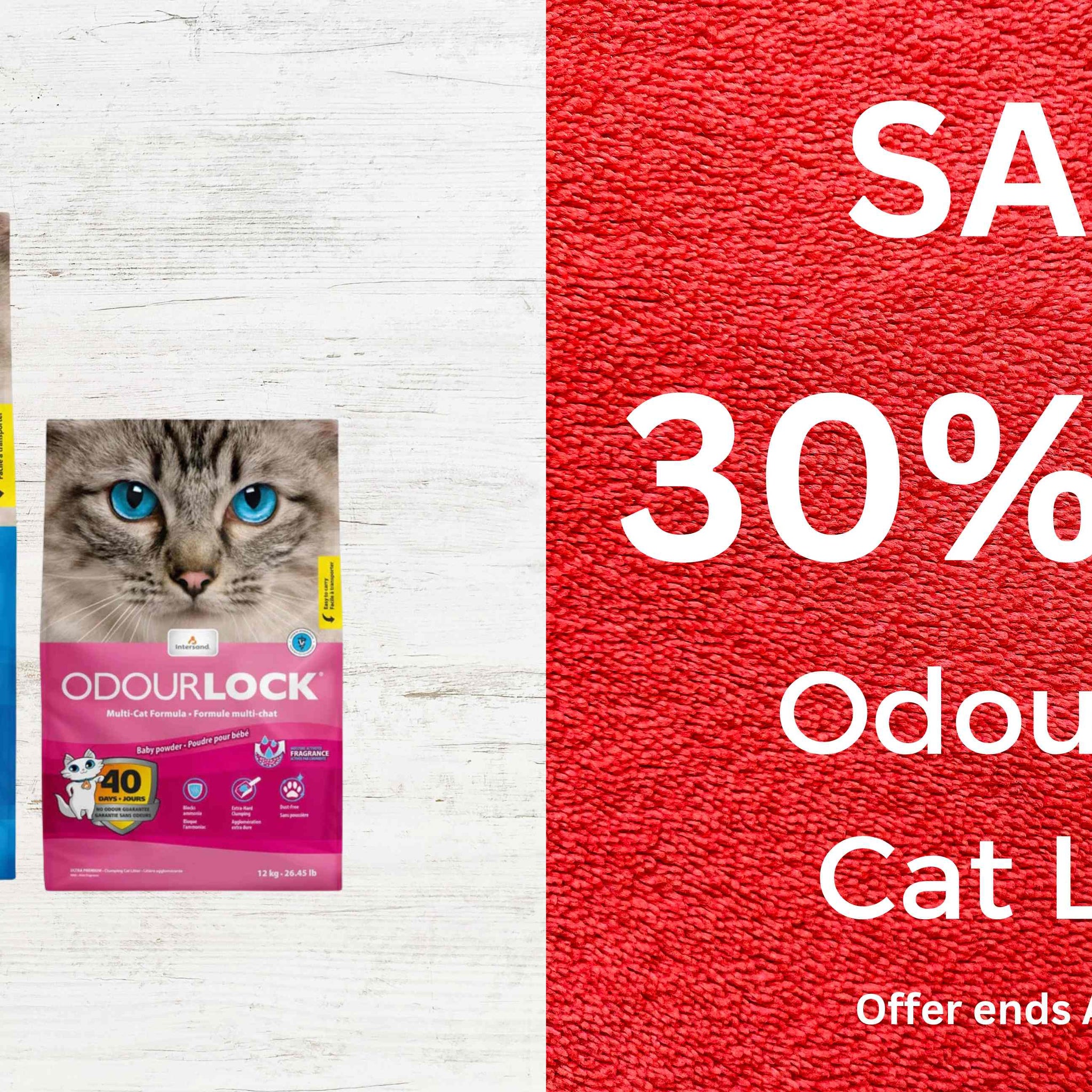 Pets Villa Best Selling Pet Products UK Pet's Daily Needs