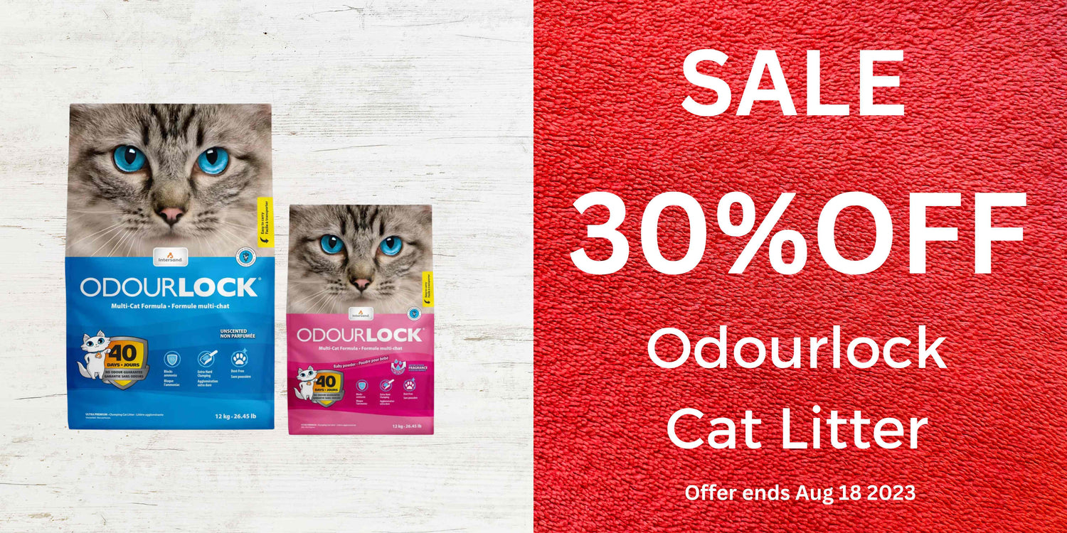 Pets Villa Best Selling Pet Products UK Pet's Daily Needs