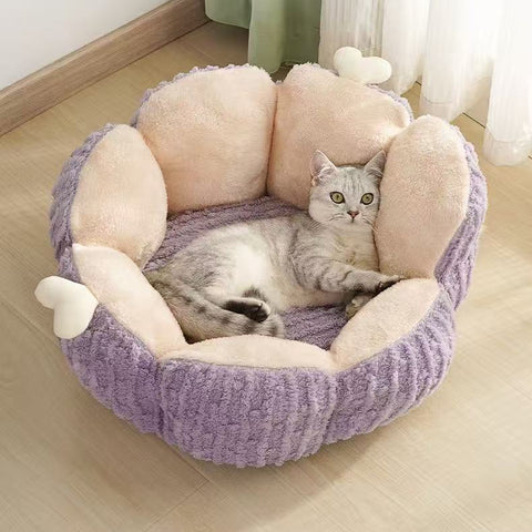 Purple Variant Soft Cactus Cat Nest Bed
- Pets Villa.