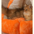 Close up image of Soft Pumpkin Pet Bed - Pets Villa. 