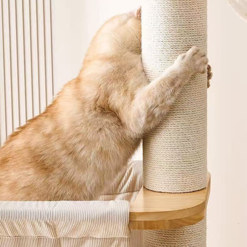 Scratcher image of Solid Wood Floor to Ceiling Cat Tree - Pets Villa. 