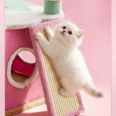 Image of a Kitten on Sprinkle Ice Cream Cat Tree - Pets Villa. 