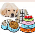 Image of a dog looking at the Stainless Steel Cartoon Colourful Pet Bowl - Pets Villa. 