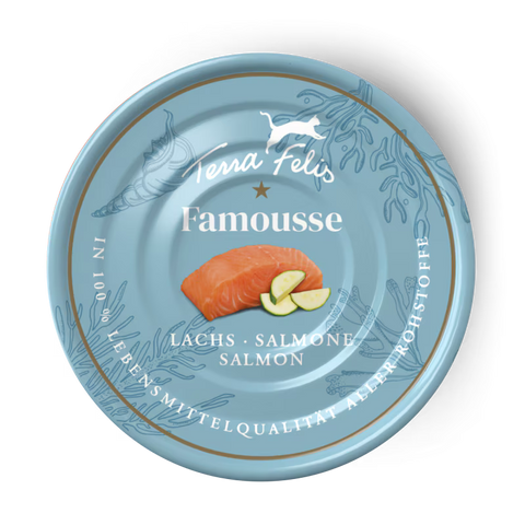 Front image of TERRA FELIS Adult Cat Complementary Salmon Famousse 80g - Pets Villa. 