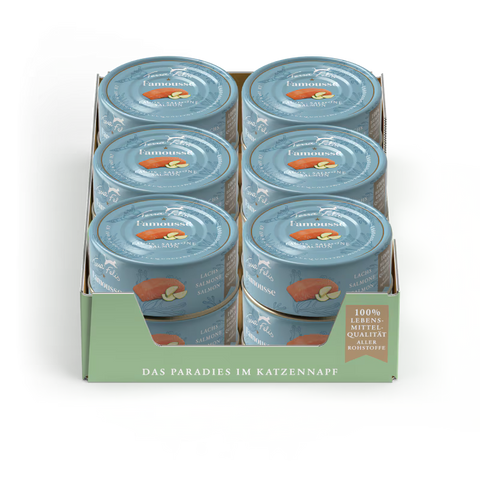 Multipack image of TERRA FELIS Adult Cat Complementary Salmon Famousse 80g - Pets Villa. 